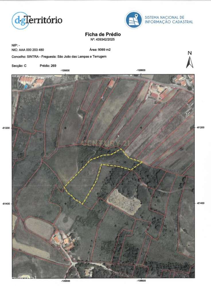 Terreno rústico com 9.069 m² – Vista de Oceano – Baleia / Carvoeira (M - Grande imagem: 2/5