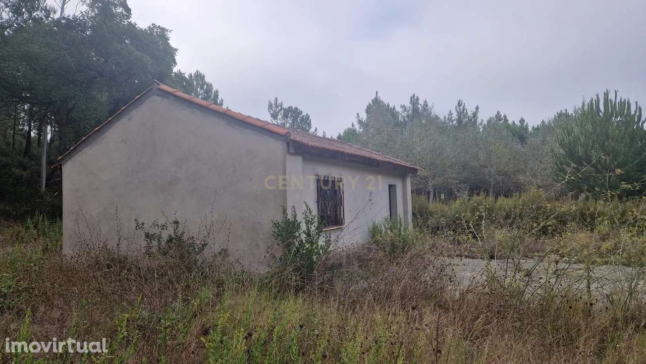 Terreno com grandes dimensões às portas de Condeixa - Grande imagem: 4/15