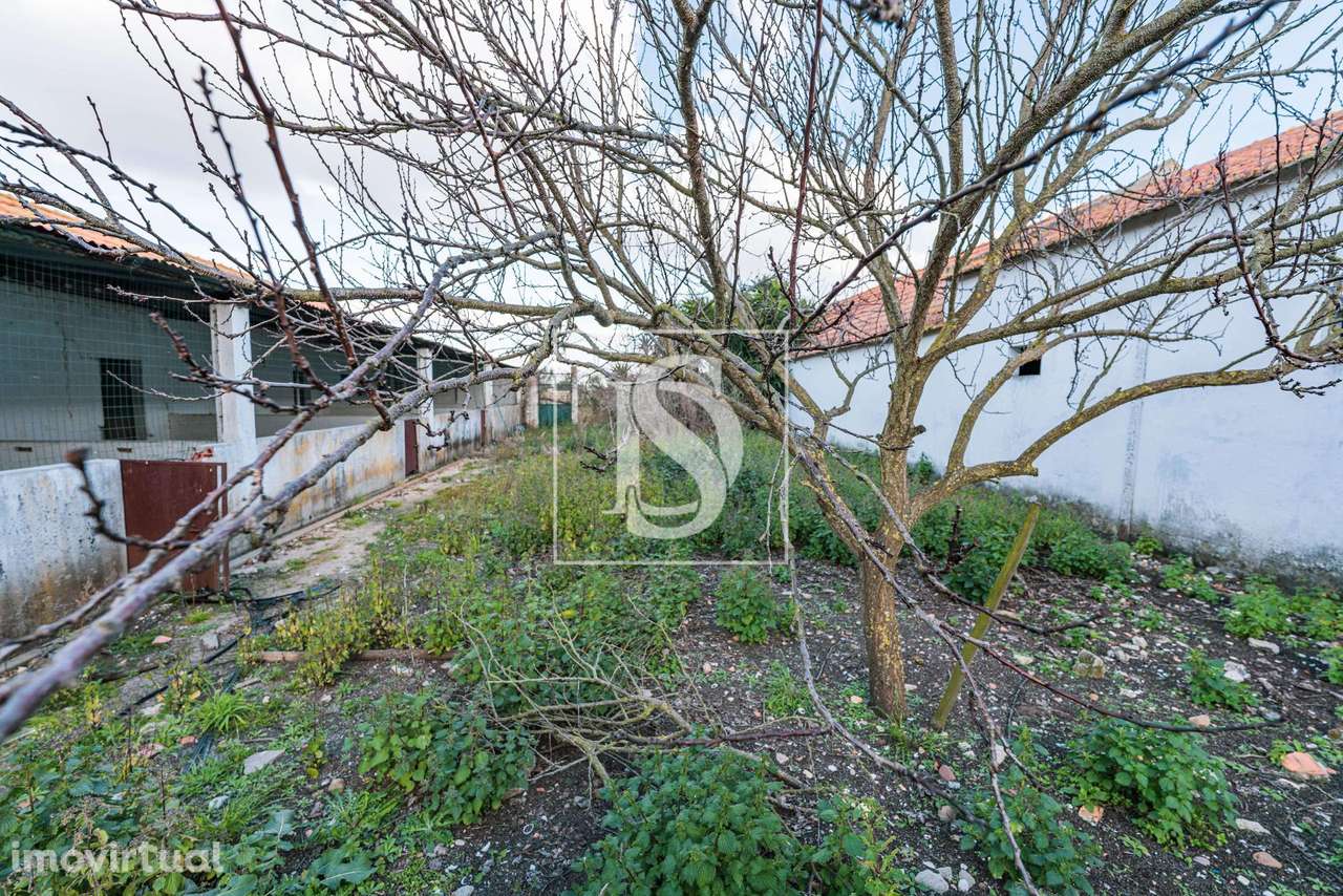 Herdade T3+2 Venda em Poceirão e Marateca,Palmela - Grande imagem: 2/29