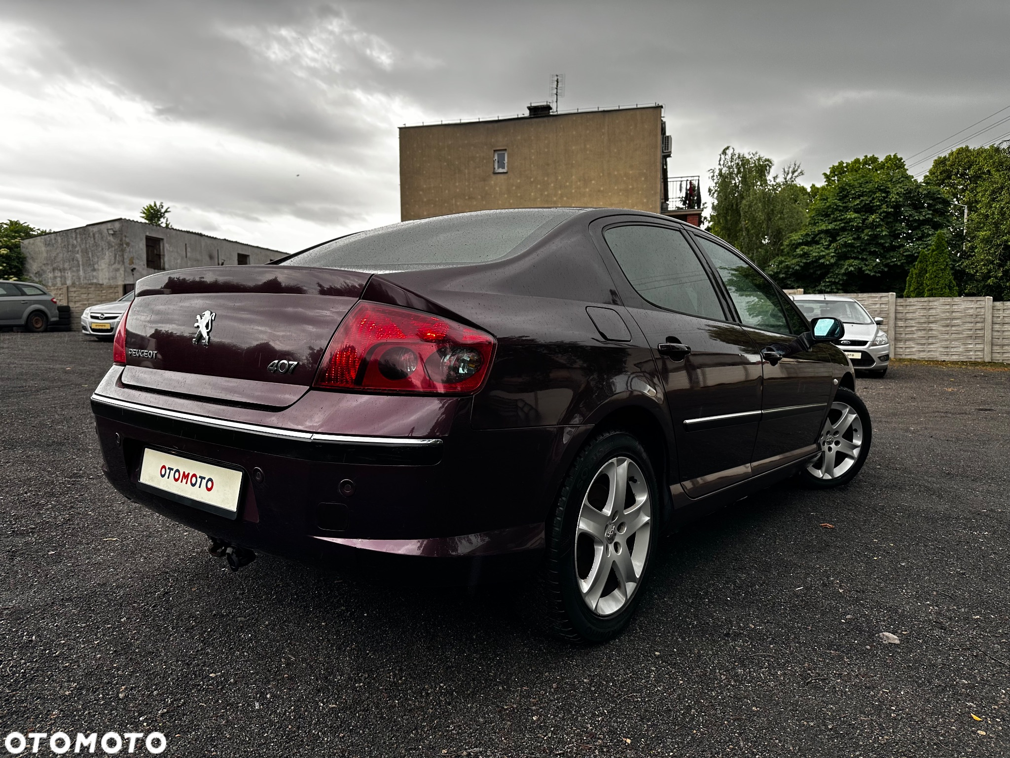 Peugeot 407 - 13