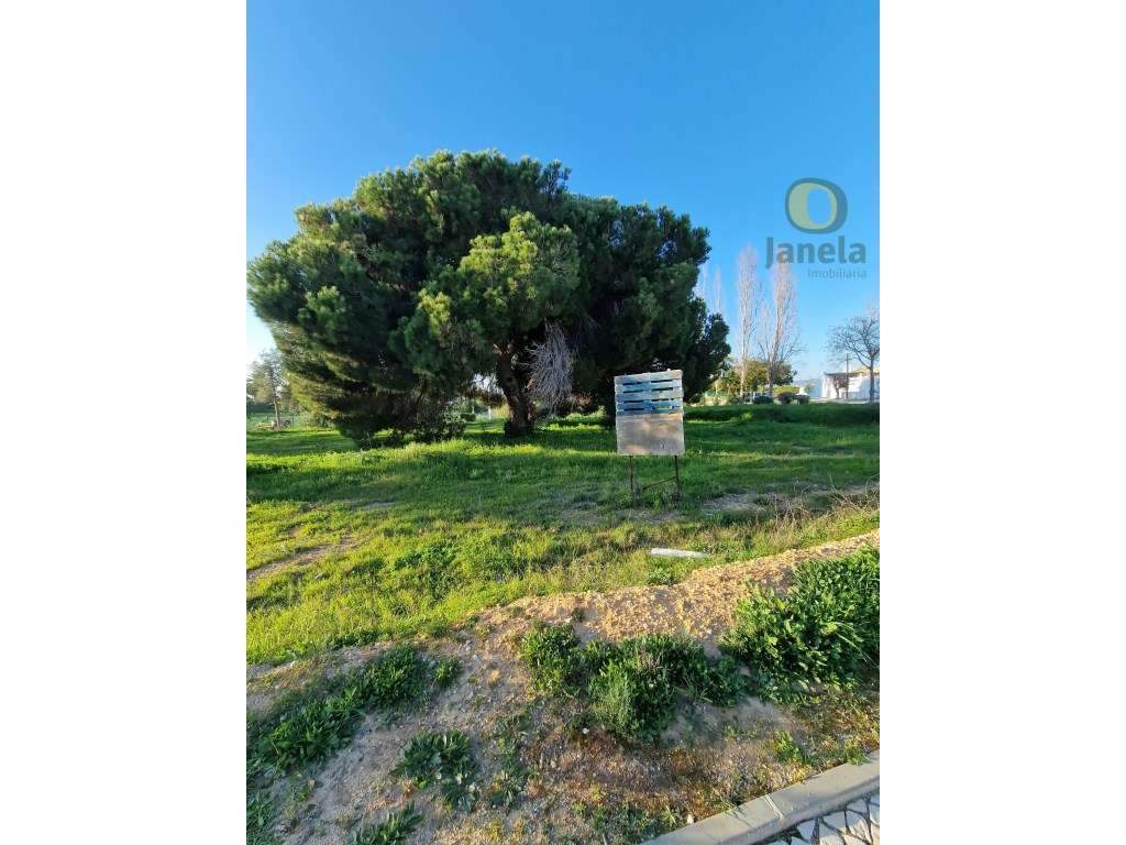 Terreno Urbanizável nas Gambelas com Potencial de Construção - Grande imagem: 3/15