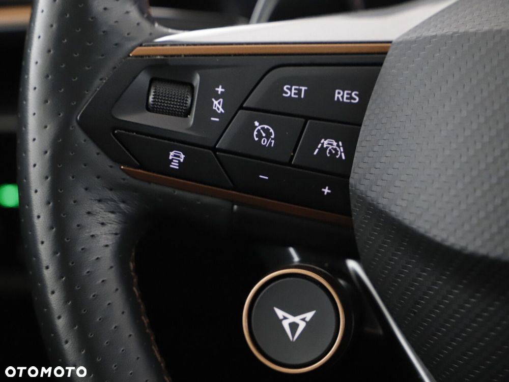 Cupra Formentor - 19