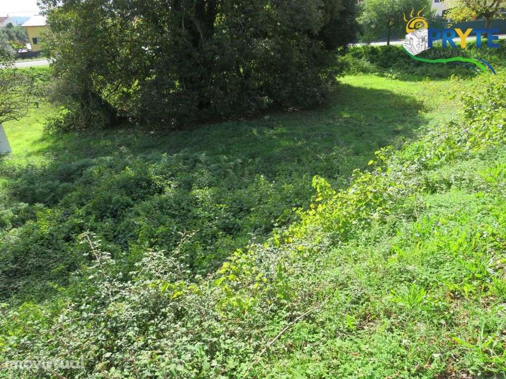 Lote para construção de moradia situado em Cernache do Bonjardim - Grande imagem: 4/4