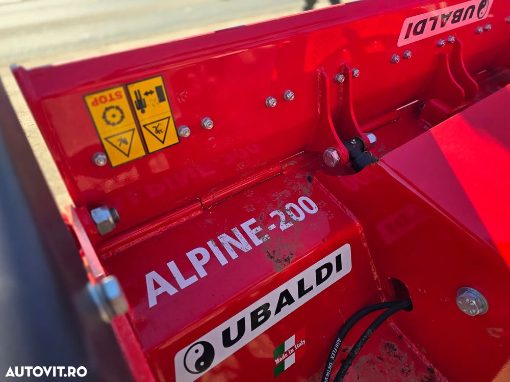 Ubaldi Alpine Forest 2M - 15