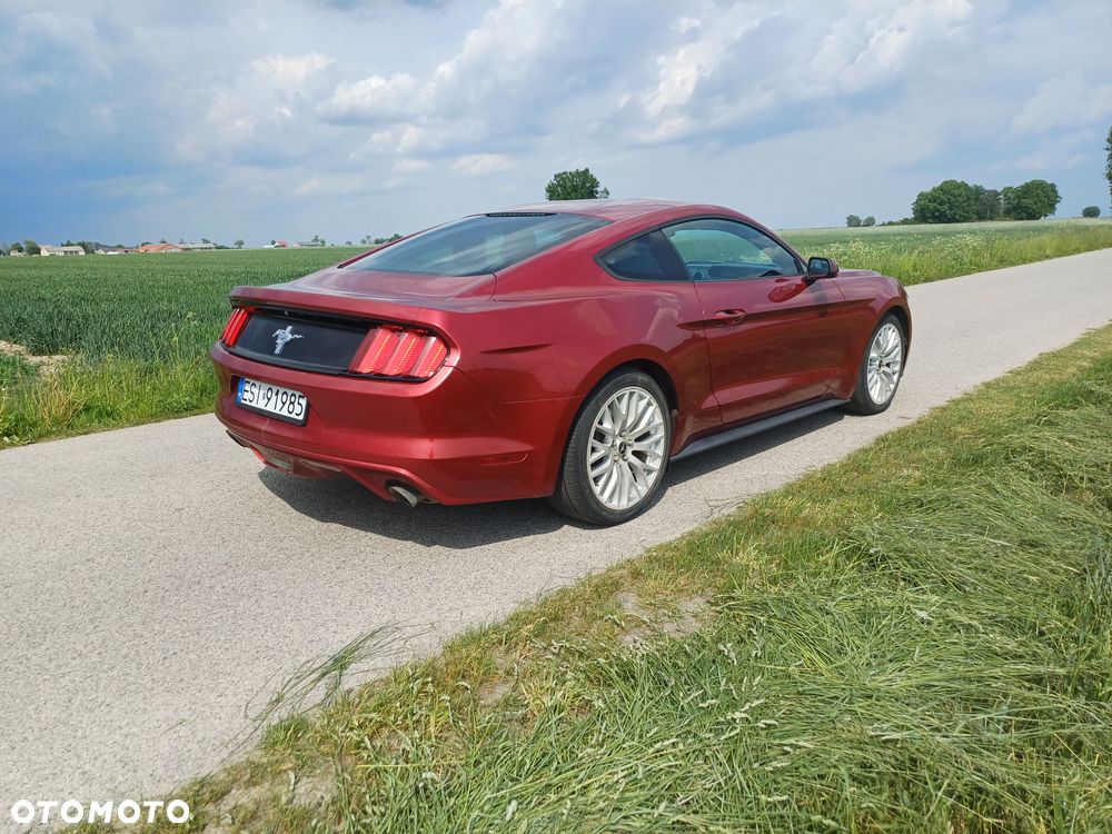 Ford Mustang 3.7 V6 - 5