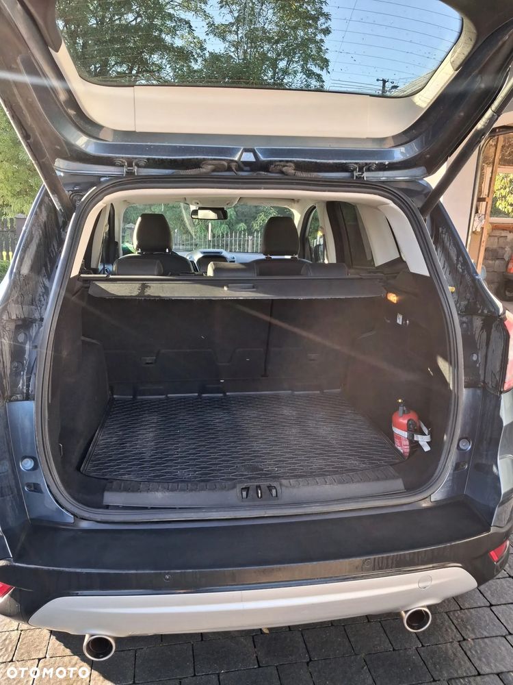 Ford Kuga 2019 photo 5