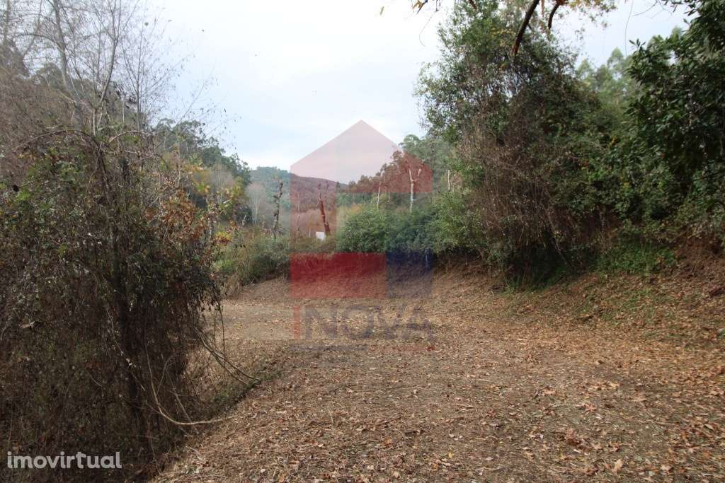 Terreno agrícola em Oriz Sta Marinha, Vila Verde - Grande imagem: 5/12