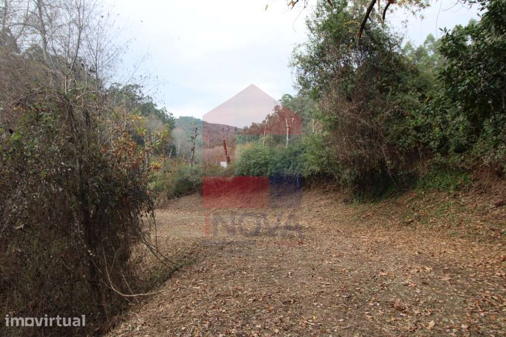 Terreno agrícola em Oriz Sta Marinha, Vila Verde - Grande imagem: 5/12