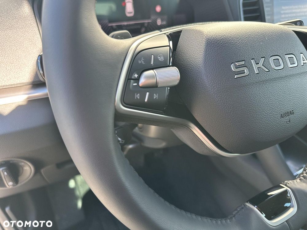 Skoda Karoq 1.5 TSI ACT Edition 130 DSG - 19