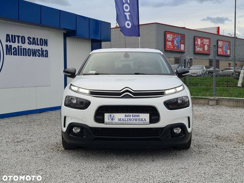 Citroën C4 Cactus 2019