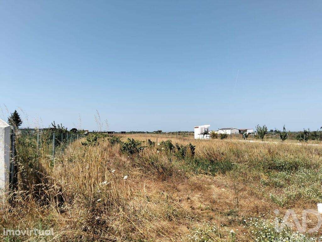 Terreno em Benfica do Ribatejo de 6720,00 m2 - Grande imagem: 4/29