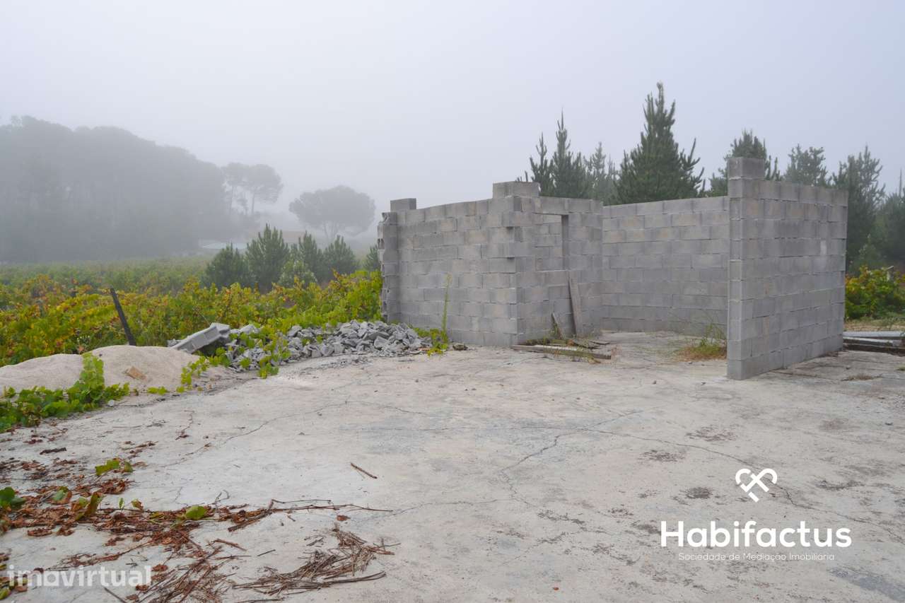 Terreno com 2012 m2 em Carvalhal Redondo. - Grande imagem: 5/5