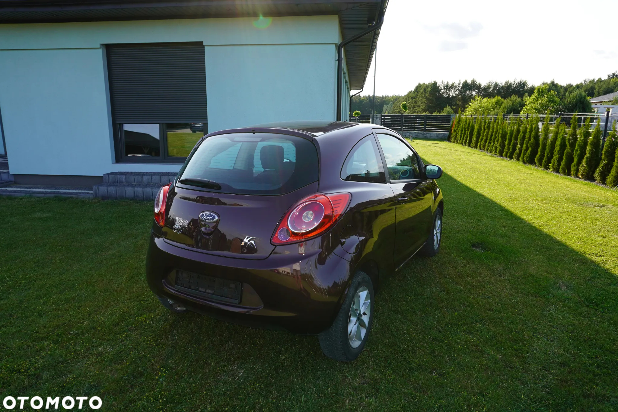 Ford KA 1.2 Start-Stopp-System Champions Edition - 10