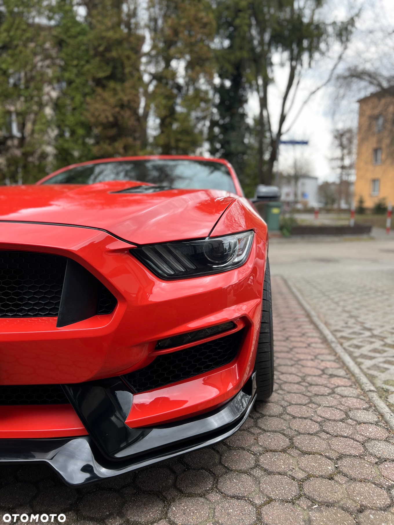 Ford Mustang 5.0 V8 GT - 3
