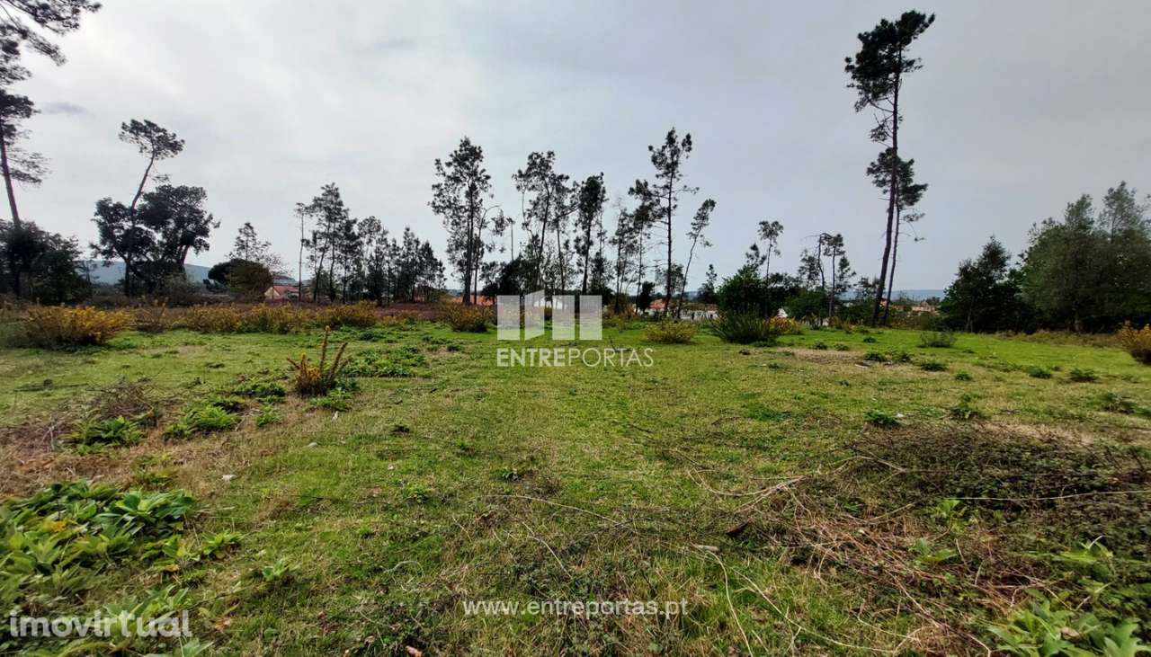 Venda de fantástico terreno para construção, Alvarães, Viana do Ca - Grande imagem: 4/30