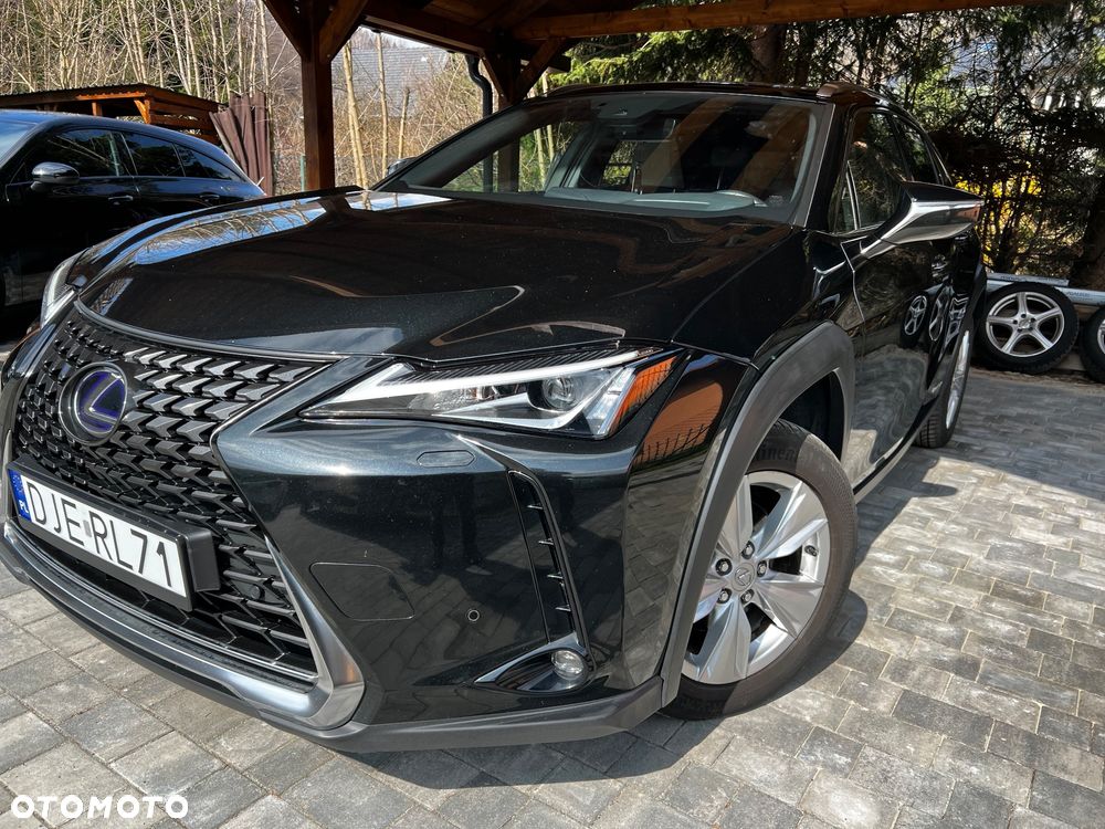 Lexus UX 250h Elegance 2WD - 12