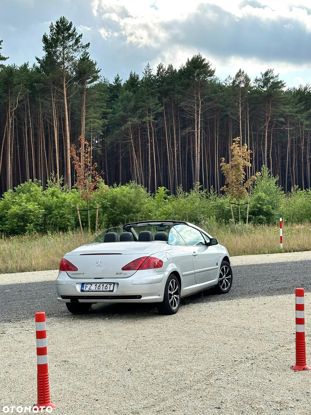 Peugeot 307 CC - 17