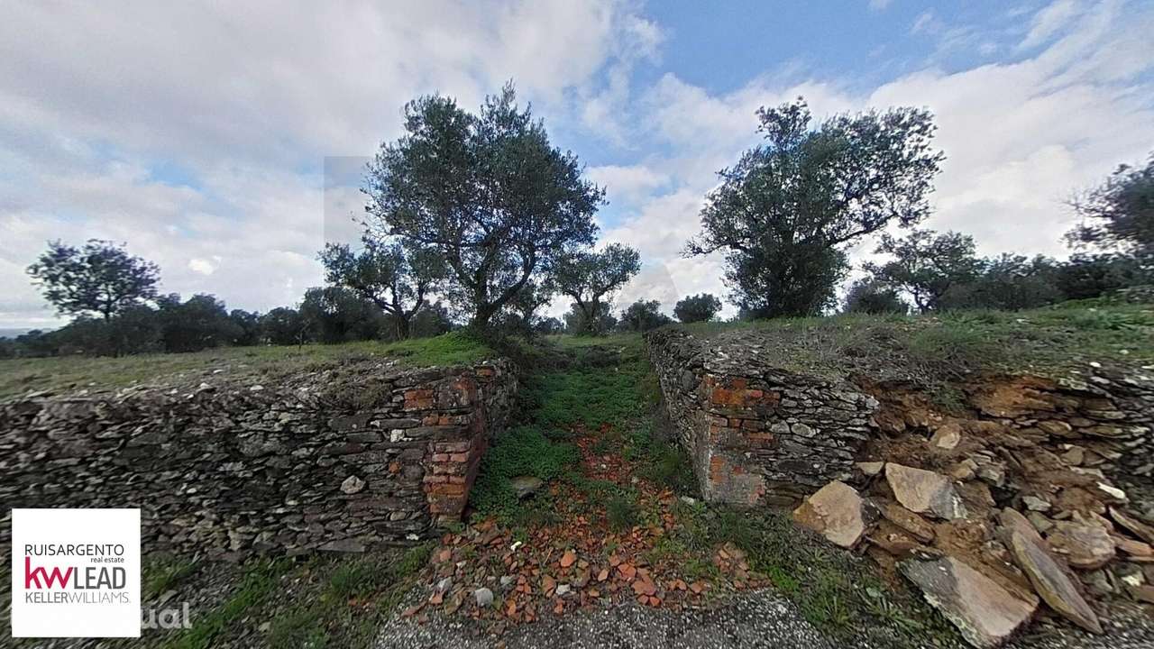 Alojamento Rustico com 6000m2 de Terreno em Salavessa Nisa - Grande imagem: 4/33