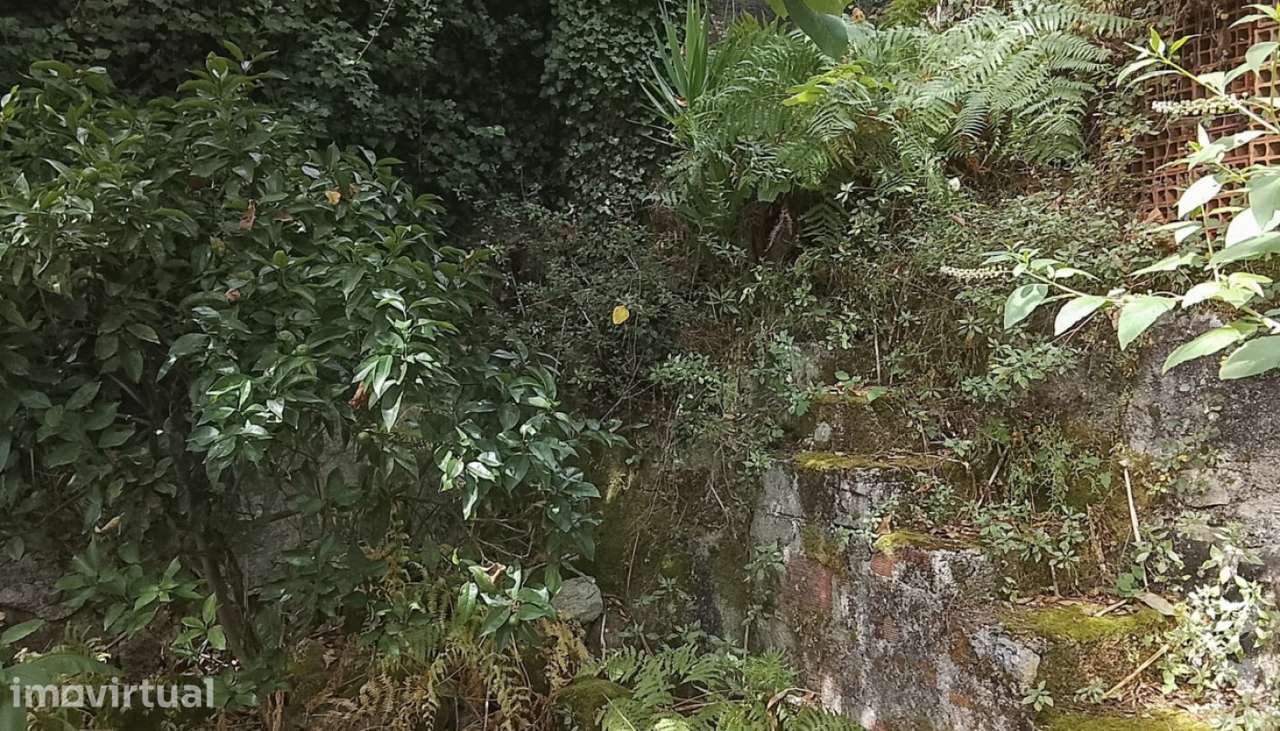 Venda de ótimo terreno para construção, Areosa, Viana do Castelo - Grande imagem: 4/22