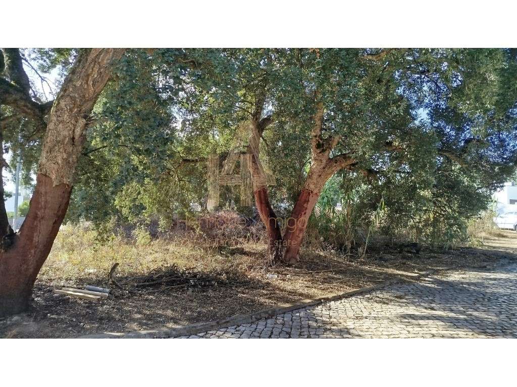 Excelente terreno em Sesimbra (Castelo) - Grande imagem: 3/11