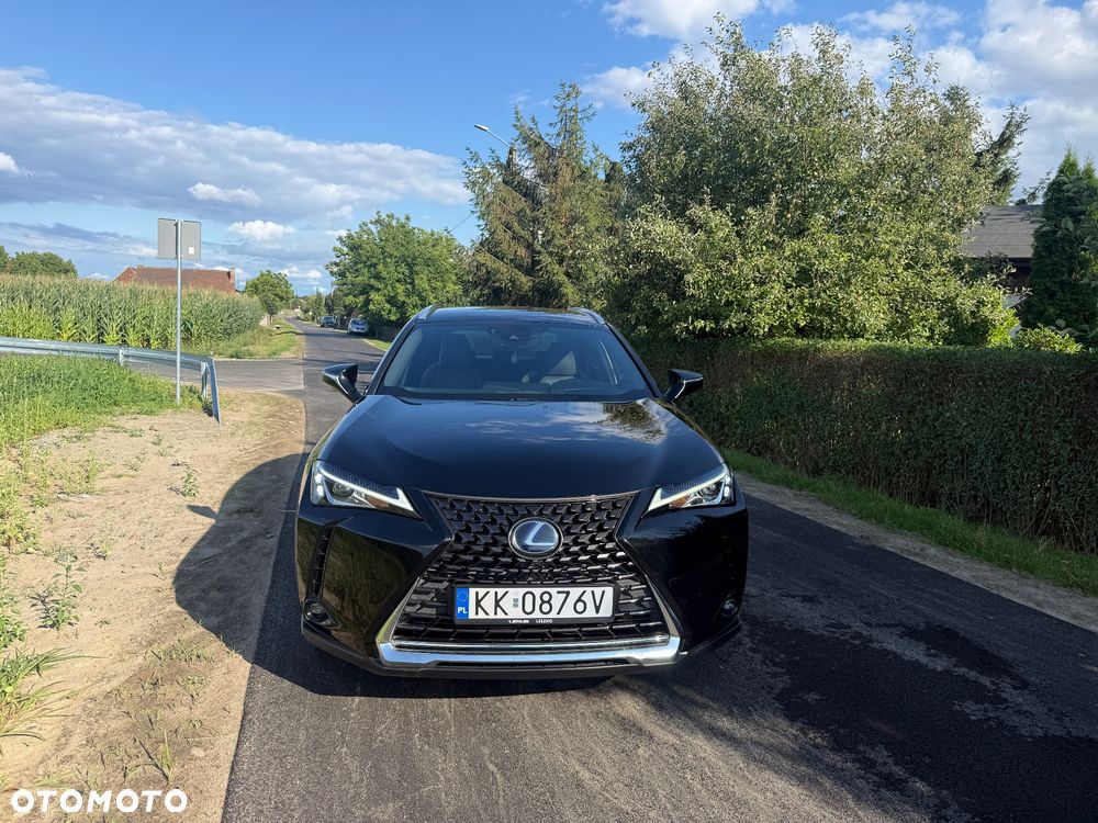 Lexus UX 250h Elegance 2WD - 2