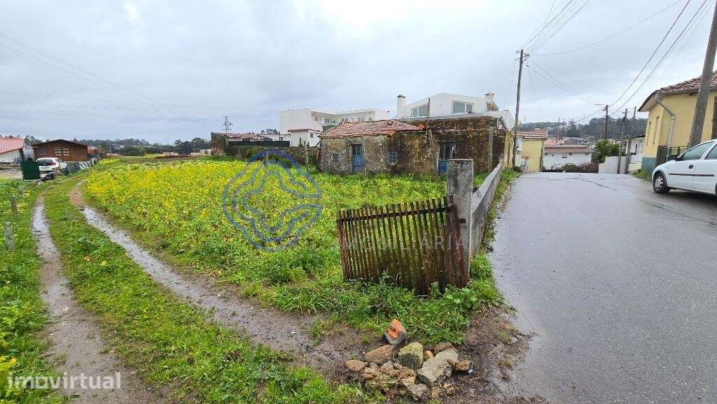 Santa Maria da Feira - Grande imagem: 5/8