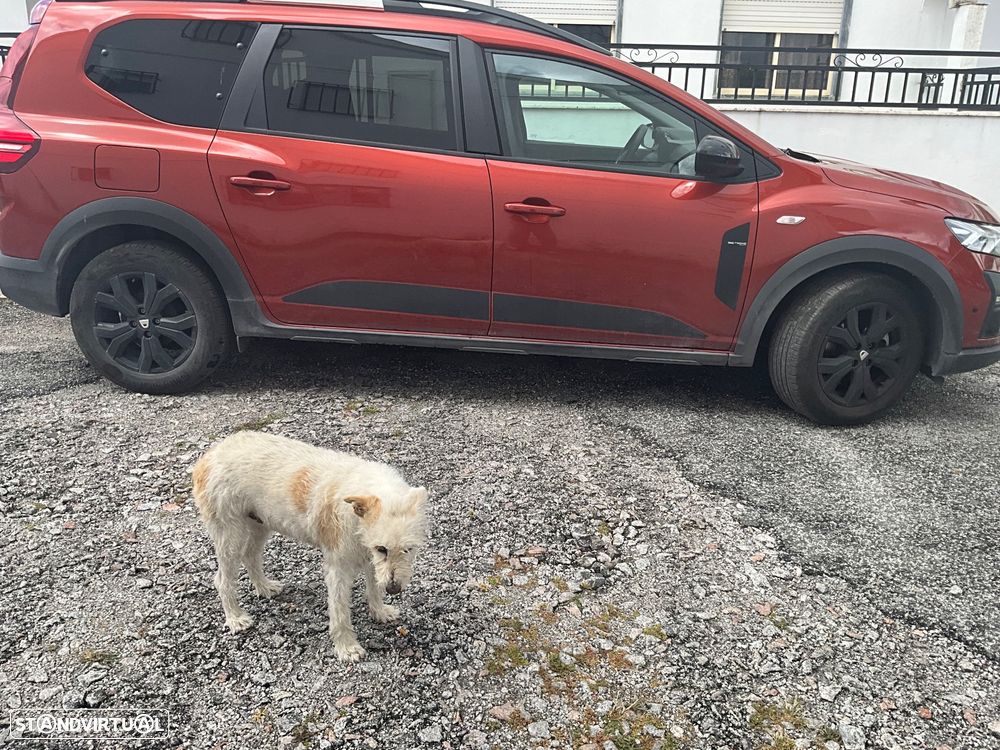 Dacia Jogger TCe 110 (7L) Extreme+ - 2