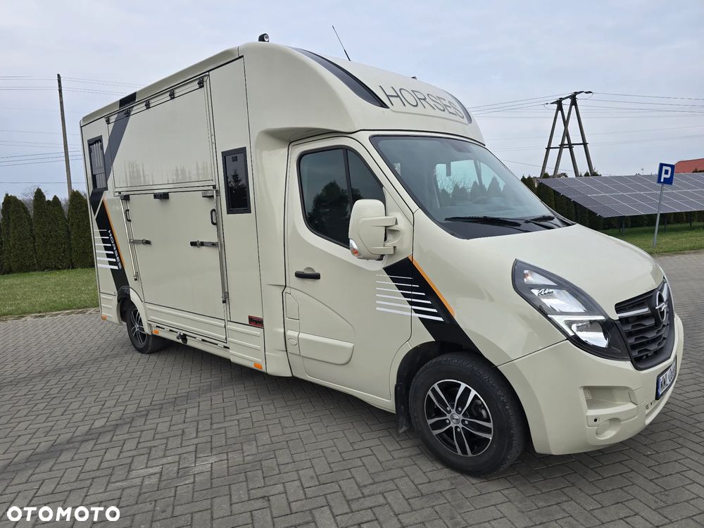 Opel Movano-Koniowóz - 2