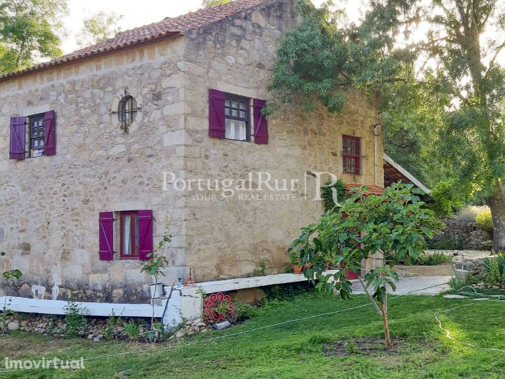 Quinta Rural 8.000 m2 - 2 Casas Habitáveis - confina com Ribeira - Grande imagem: 2/33