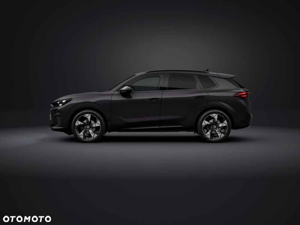 Cupra Terramar - 2