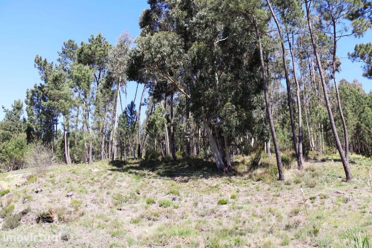 Terreno para construção - Grande imagem: 4/7