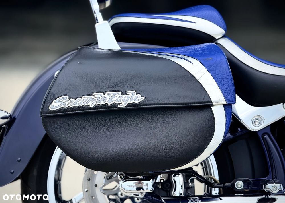 Harley-Davidson Softail - 16