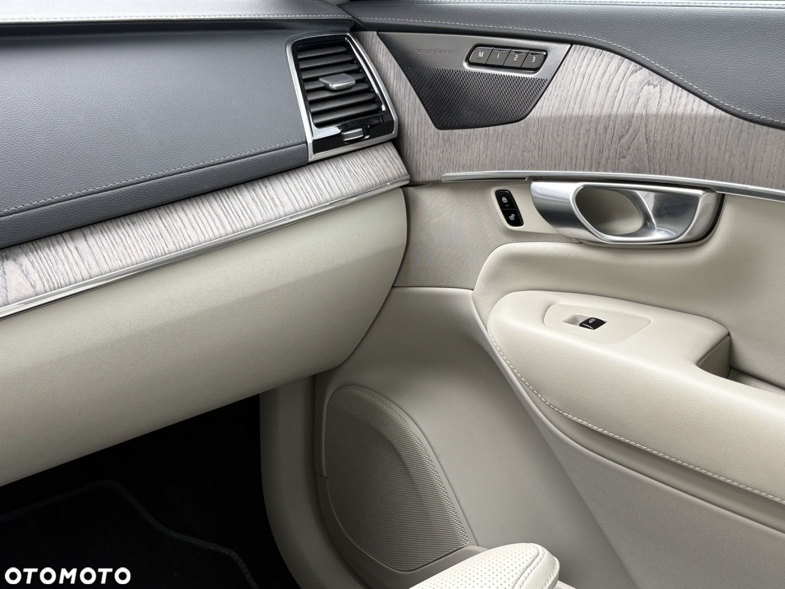 Volvo XC 90 - 20