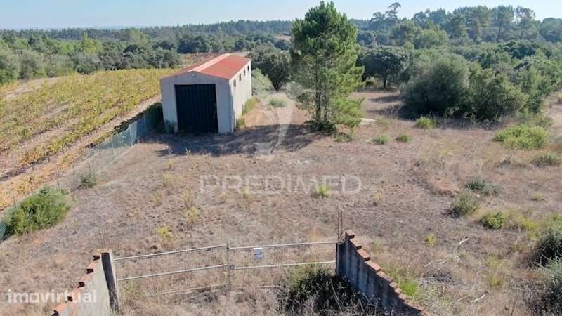 Terreno Rustico, Armazém agrícola+ furo de Agua - Grande imagem: 2/14