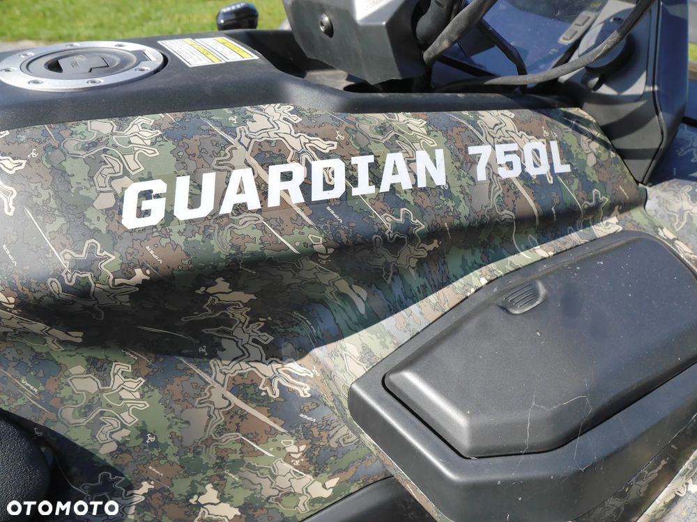 HISUN Guardian 750 - 13
