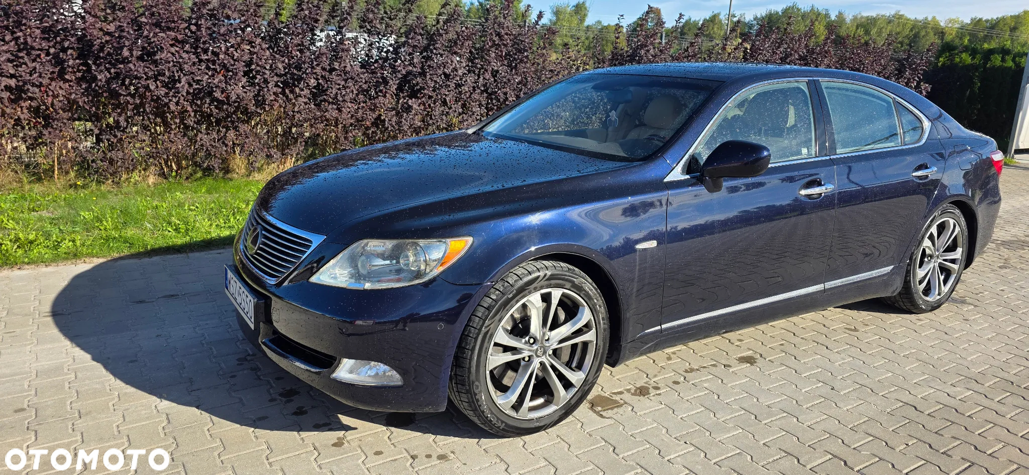 Lexus LS 460 - 4