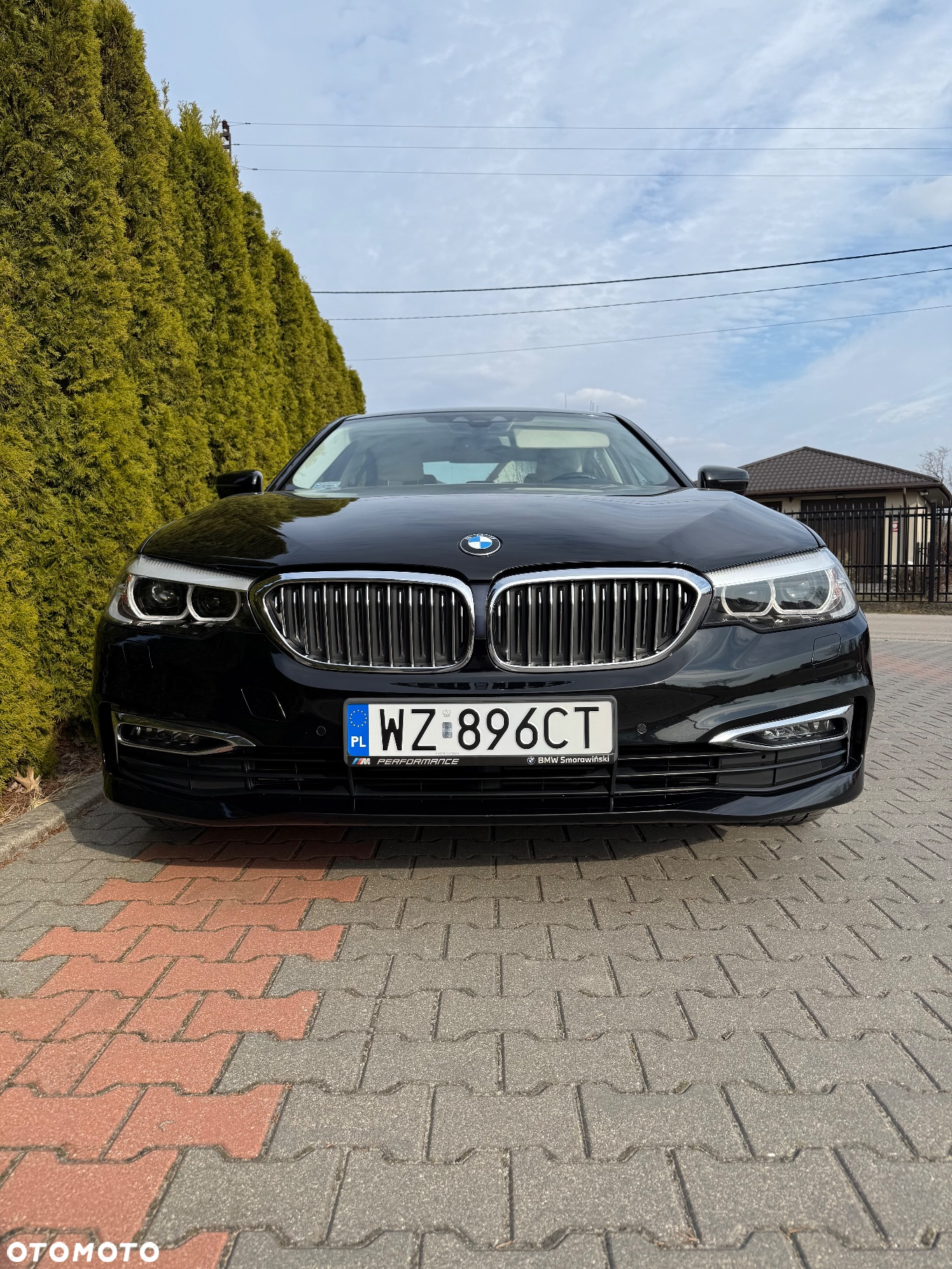 BMW Seria 5 520d Efficient Dynamics Luxury Line sport - 19