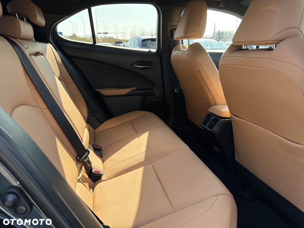 Lexus UX 250h GPF F Sport Design 2WD - 10