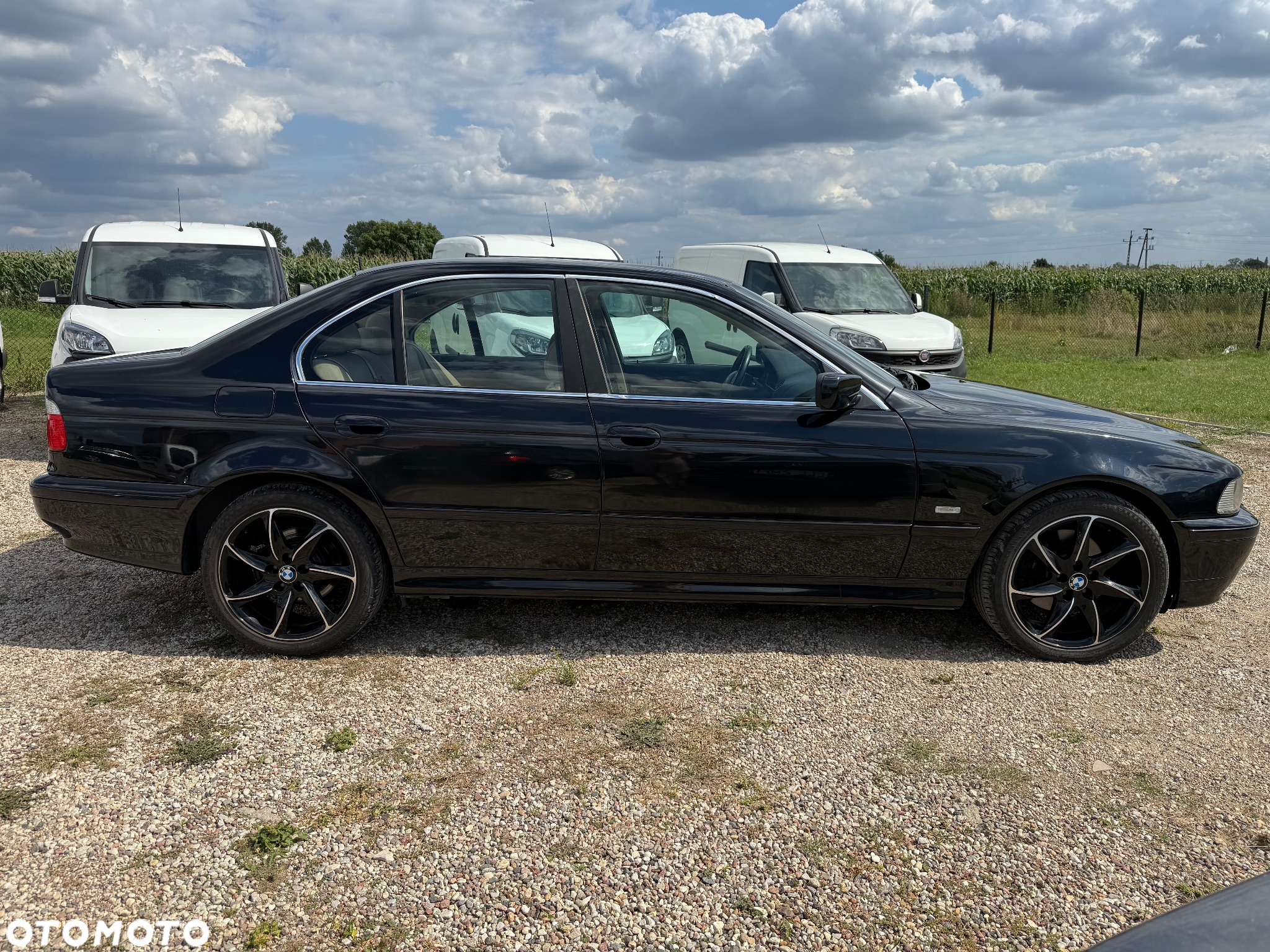 BMW Seria 5 - 8