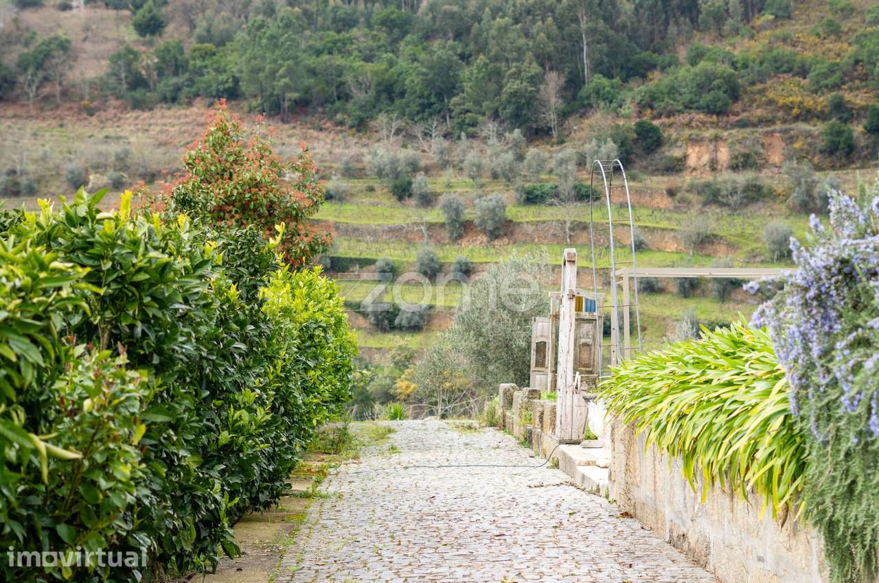 Quinta no Douro - Douro Farm - Douro-TAL - Grande imagem: 5/15