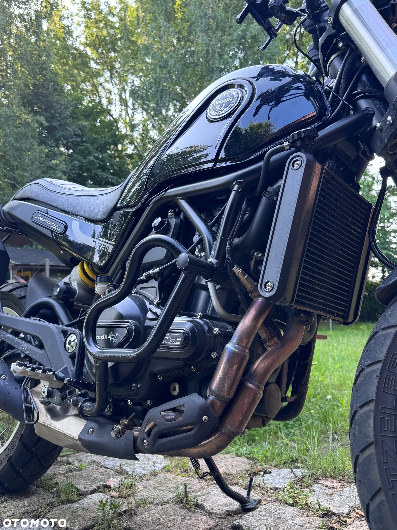 Benelli Leoncino Trail - 5
