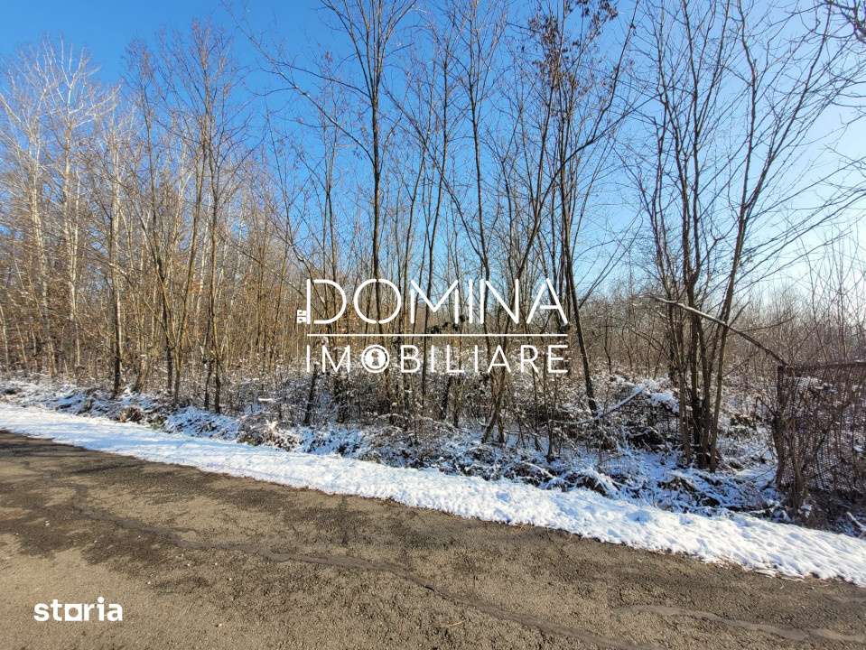 Vanzare teren intravilan situat in comuna Scoarta, sat Pistestii din D - Imagine principală: 3/3