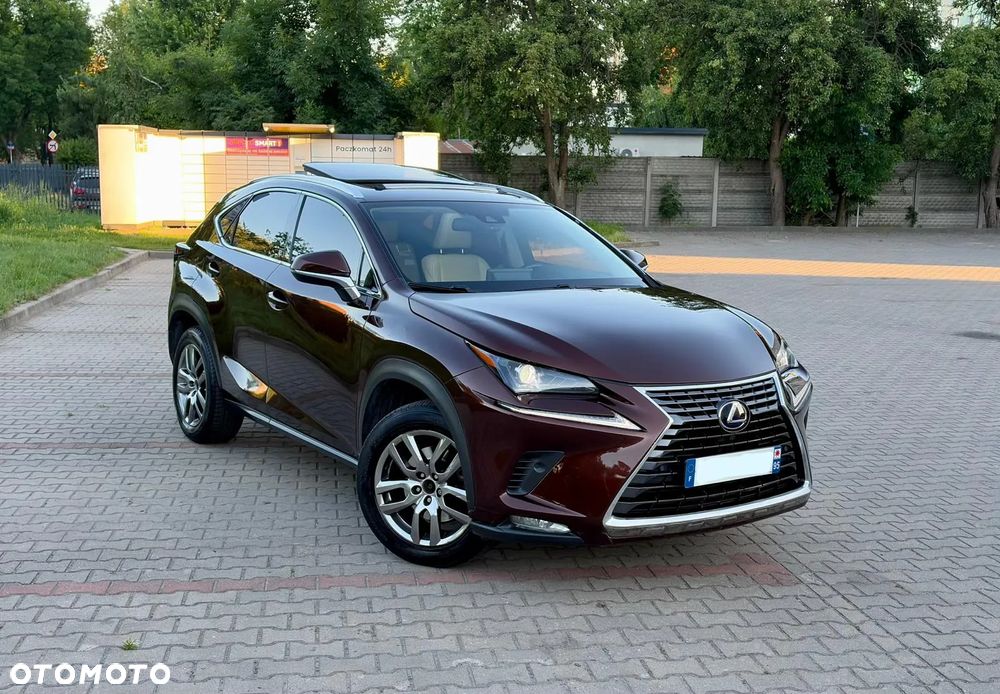 Lexus NX 300h Elite AWD - 6