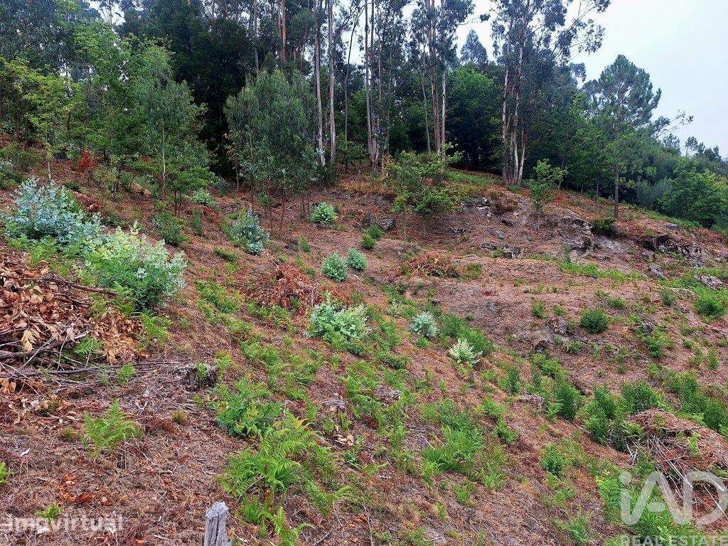 Terreno Agrícola em Portela e Extremo - Grande imagem: 3/7