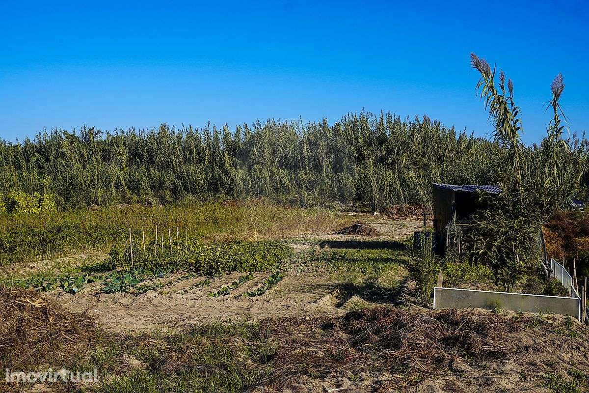 Terreno  para venda - Grande imagem: 4/4