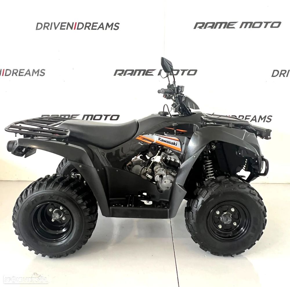 Kawasaki KVF 300 - 1