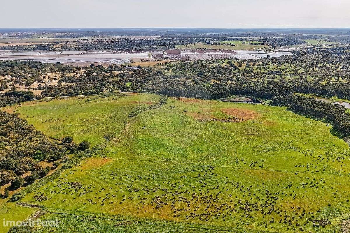 Industrial  para venda - Grande imagem: 3/7