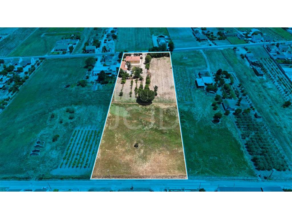 Moradia T4 com Terreno de 1,2 Hectares - Foros de Benfica - Grande imagem: 4/37