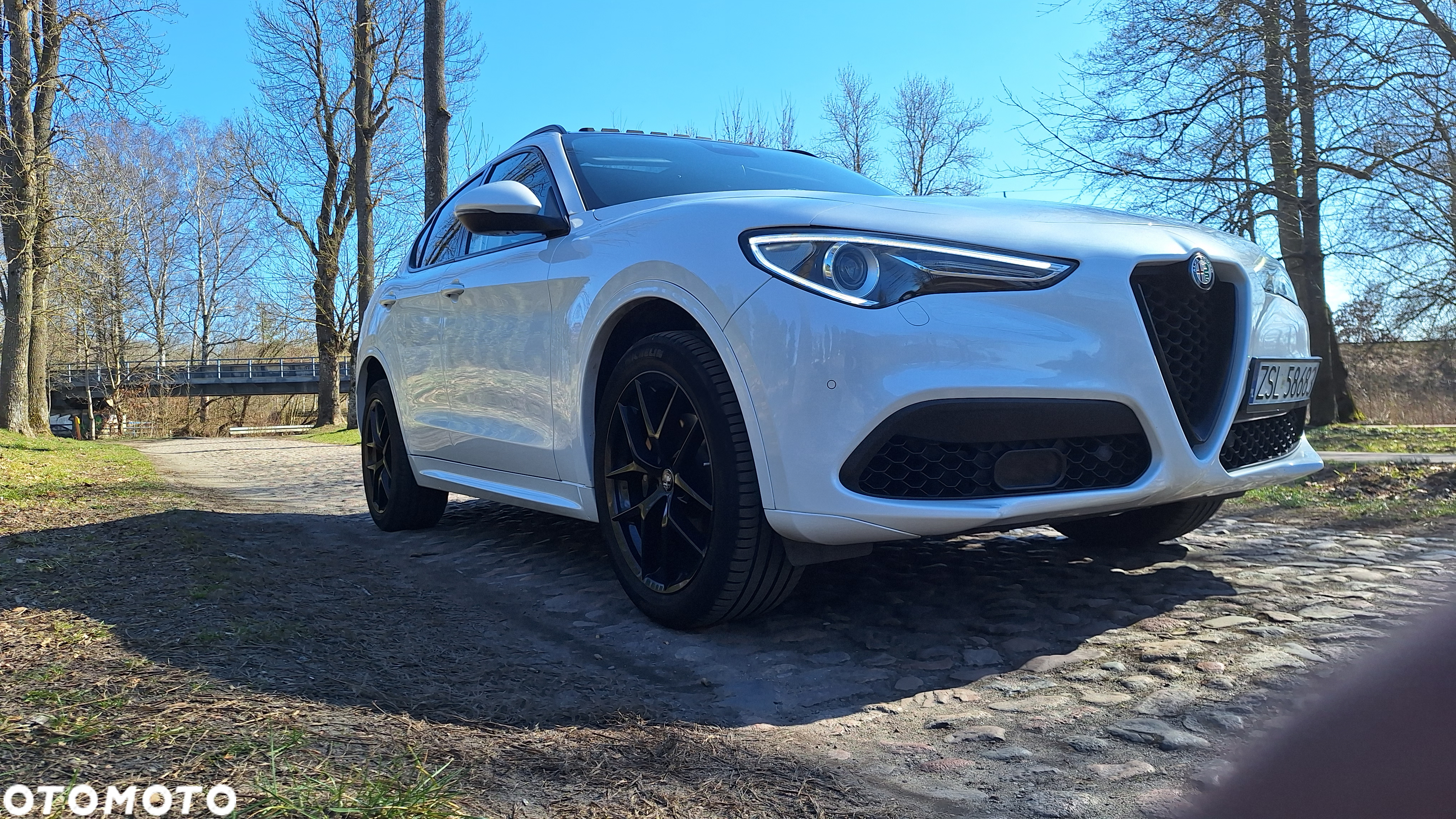 Alfa Romeo Stelvio 2.0 Turbo 16V AT8-Q4 Veloce Ti - 2