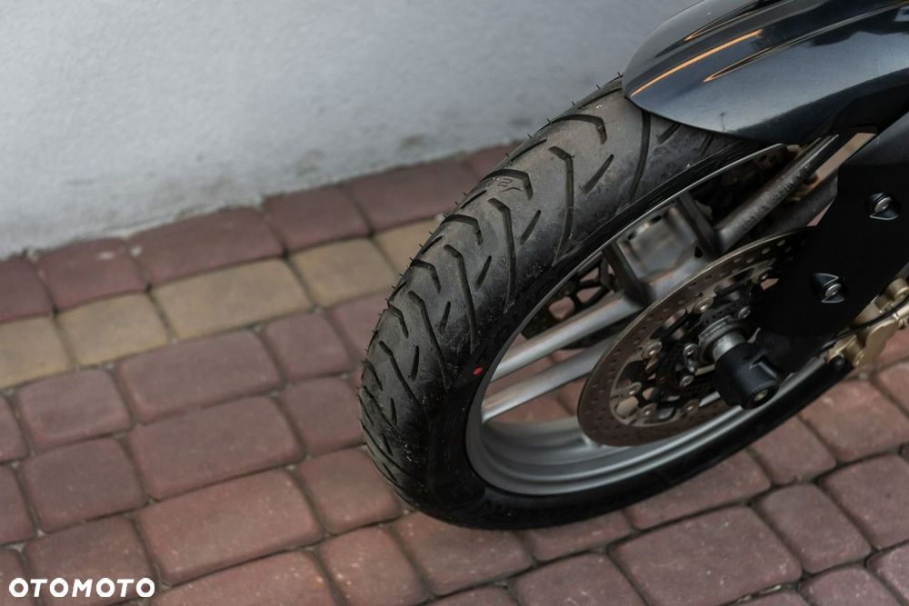 Triumph Tiger - 13